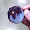 KGB GLASS DONUT OPTION 14 - Image 4